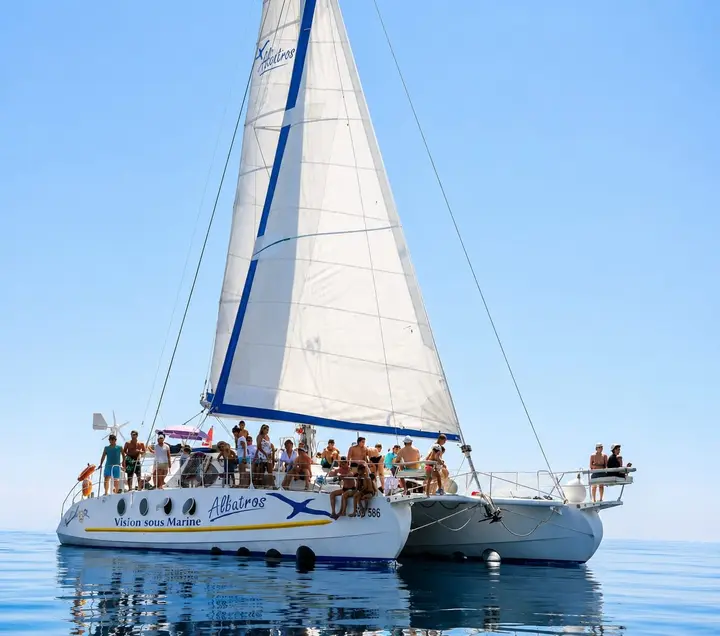 Albatros Catamaran Galerie